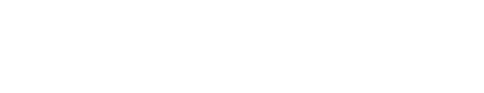 INVOICE